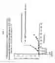 Fig. 04 - Immunoconjugates with an intracellularly-cleavable linkage
