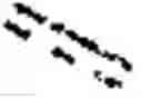 Fig. 02 - Modified nucleosides, nucleotides, and nucleic acids, and uses thereof