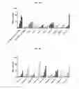Fig. 08 - Modified nucleosides, nucleotides, and nucleic acids, and uses thereof