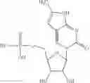 Fig. 28 - Modified nucleosides, nucleotides, and nucleic acids, and uses thereof