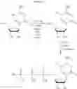 Fig. 31 - Modified nucleosides, nucleotides, and nucleic acids, and uses thereof