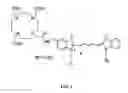 Fig. 02 - Molecular probes for multimodality imaging and tracking of stem cells