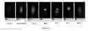 Fig. 09 - Molecular probes for multimodality imaging and tracking of stem cells