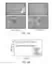 Fig. 13 - Fluorescent silica-based nanoparticles