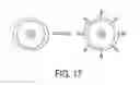 Fig. 20 - Fluorescent silica-based nanoparticles