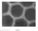 Fig. 22 - SYSTEMS AND METHODS FOR PROVIDING OXYGEN TO TRANSPLANTED CELLS