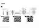 Fig. 02 - Gradient porous scaffolds