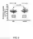 Fig. 07 - Estimation of the dry weight of a dialysis patient