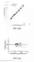 Fig. 08 - Estimation of the dry weight of a dialysis patient