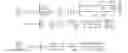 Fig. 41 - System for analyzing vascular refill during short-pulse ultrafiltration in hemodialysis