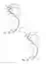 Fig. 17 - Neurovascular catheter extension segment