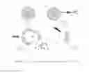 Fig. 23 - Non-invasive systems and methods for selective activation of photoreactive responses