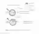 Fig. 29 - Non-invasive systems and methods for selective activation of photoreactive responses