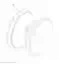 Fig. 01 - Tornado yoyo