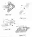Fig. 08 - Versatile robust construction toy