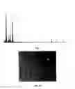 Fig. 03 - Process for synthesizing a metal-doped aluminogallate nanocomposite and methods of use thereof