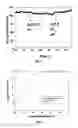 Fig. 07 - Process for synthesizing a metal-doped aluminogallate nanocomposite and methods of use thereof