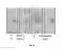 Fig. 05 - SINGLE CELL PATTERNING AND COORDINATED TRANSFER OF PATTERNED CELLS