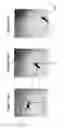 Fig. 04 - Microfluidic devices and applications thereof