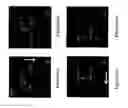 Fig. 06 - Microfluidic devices and applications thereof