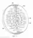 Fig. 08 - High viscosity fluid dispensing system