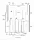 Fig. 13 - High viscosity fluid dispensing system