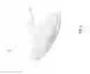 Fig. 03 - Shower device