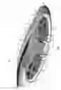 Fig. 12 - Shower device