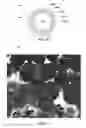 Fig. 09 - Methods of forming triggering elements for expandable apparatus for use in subterranean boreholes