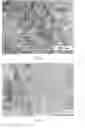 Fig. 04 - Laser thermal combination remanufacturing method for damaged metal part