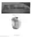 Fig. 02 - SYSTEM AND METHOD OF LASER MARKING PRODUCE