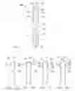 Fig. 03 - Abrasive articles including a coating and methods for forming the same
