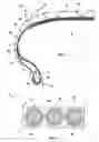 Fig. 02 - Reinforced product comprising a composition containing a rapid vulcanization accelerator and tire comprising said reinforced product