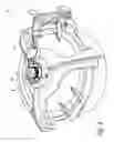 Fig. 09 - Manway cover