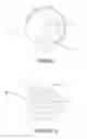 Fig. 10 - CLAW SKIP MECHANISM WITH LEVEL ADJUSTMENT