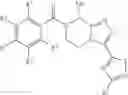 Fig. 12 - Substituted [1,2,4]triazolo[4,3-a]pyrazines as selective NK-3 receptor antagonists