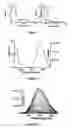 Fig. 02 - Method for selective detection and estimation of histidine and cystein