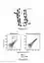 Fig. 35 - Ras inhibitory peptides and uses thereof
