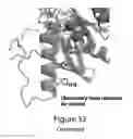 Fig. 40 - Ras inhibitory peptides and uses thereof