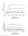 Fig. 41 - Ras inhibitory peptides and uses thereof