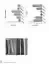 Fig. 07 - Humanized antibodies that recognize alpha-synuclein