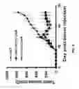 Fig. 09 - Human alpha-folate receptor chimeric antigen receptor