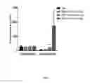 Fig. 08 - Methods for treating type 1 diabetes using glucagon receptor antagonistic antibodies