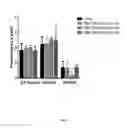 Fig. 09 - Methods for treating type 1 diabetes using glucagon receptor antagonistic antibodies