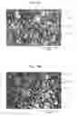 Fig. 02 - Process for preparing vulcanized rubber composition, vulcanized rubber composition and studless tire using same