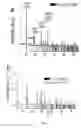 Fig. 02 - VOand VOnano- and micro-materials and processes of making and uses of same