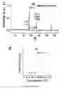 Fig. 03 - VOand VOnano- and micro-materials and processes of making and uses of same