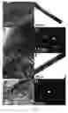 Fig. 04 - VOand VOnano- and micro-materials and processes of making and uses of same