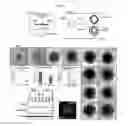 Fig. 07 - Methods for generating the inner ear and other cranial placode-derived tissues using pluripotent stem cells