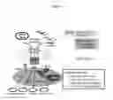 Fig. 02 - IDENTIFICATION OF T CELL TARGET ANTIGENS